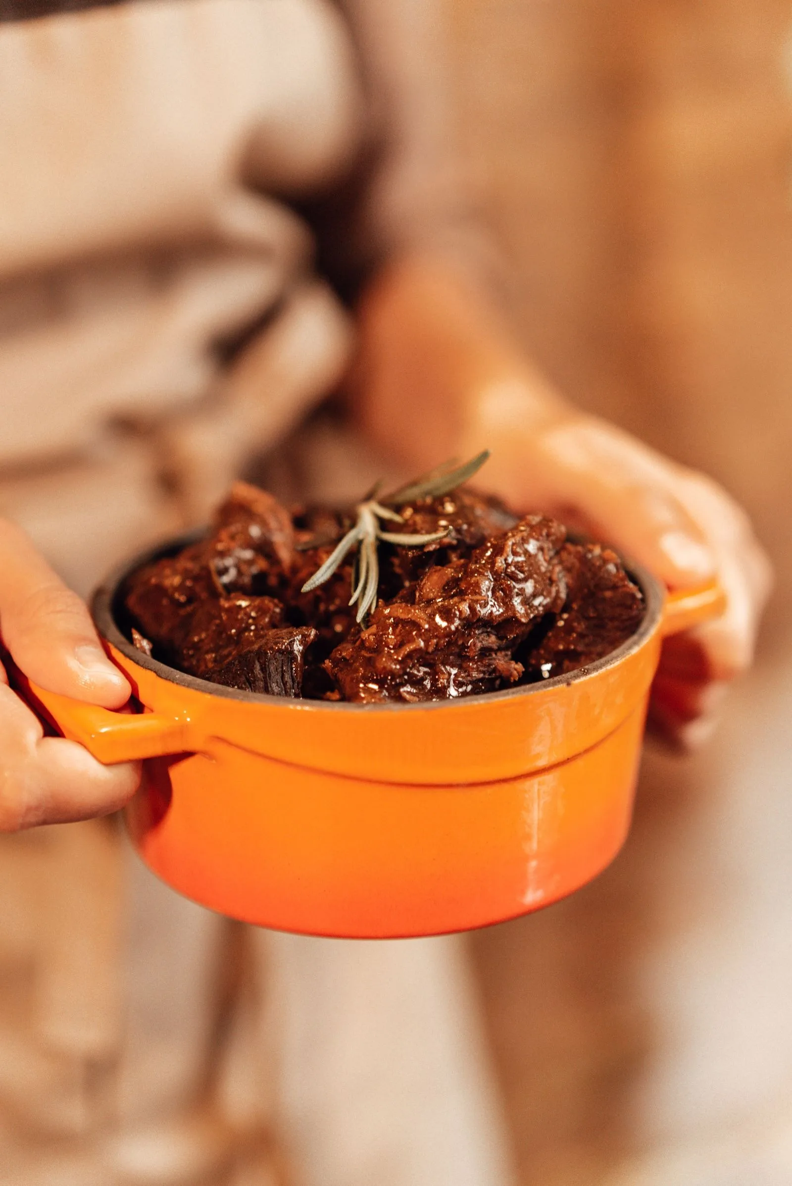 Beef Bourguignon plated French dinner