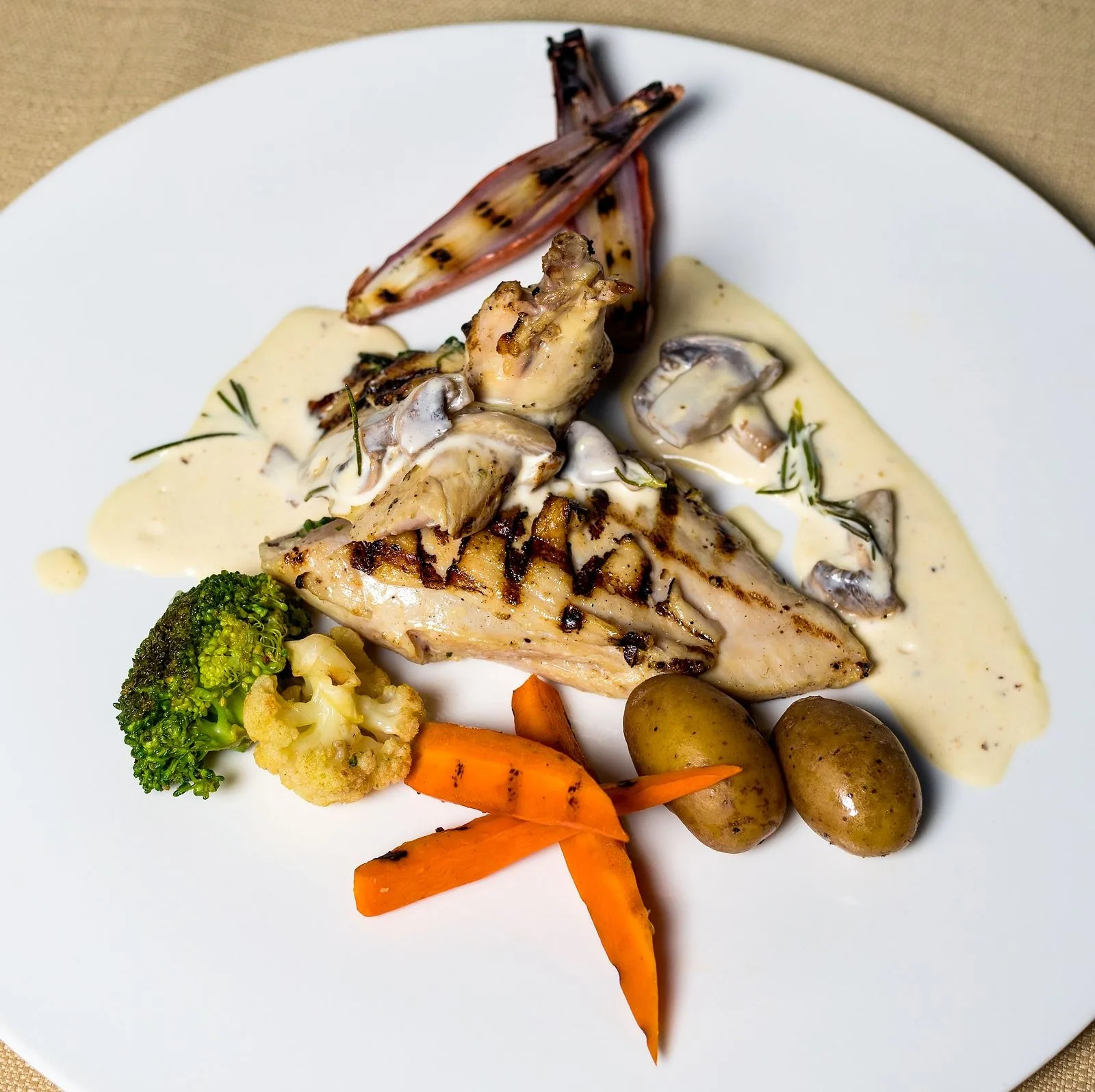 Dijon Tarragon Cream Chicken plated French dinner