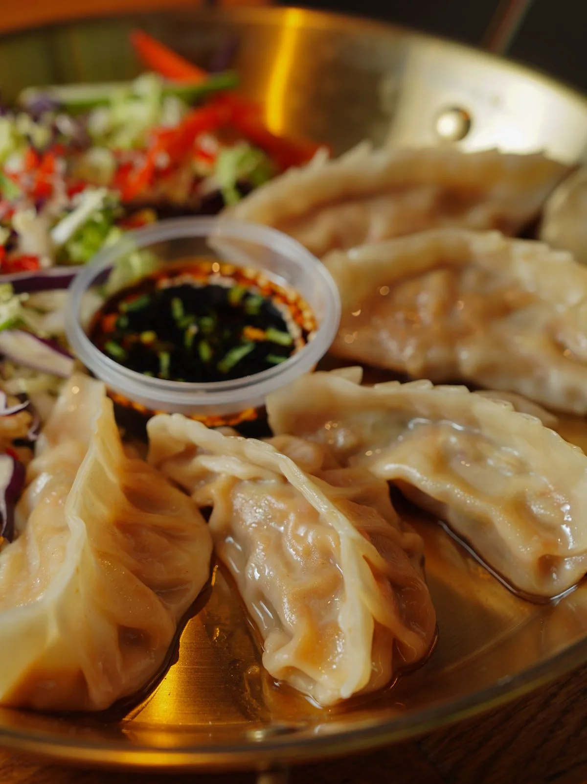 Pan-Fried Gyoza Dumplings