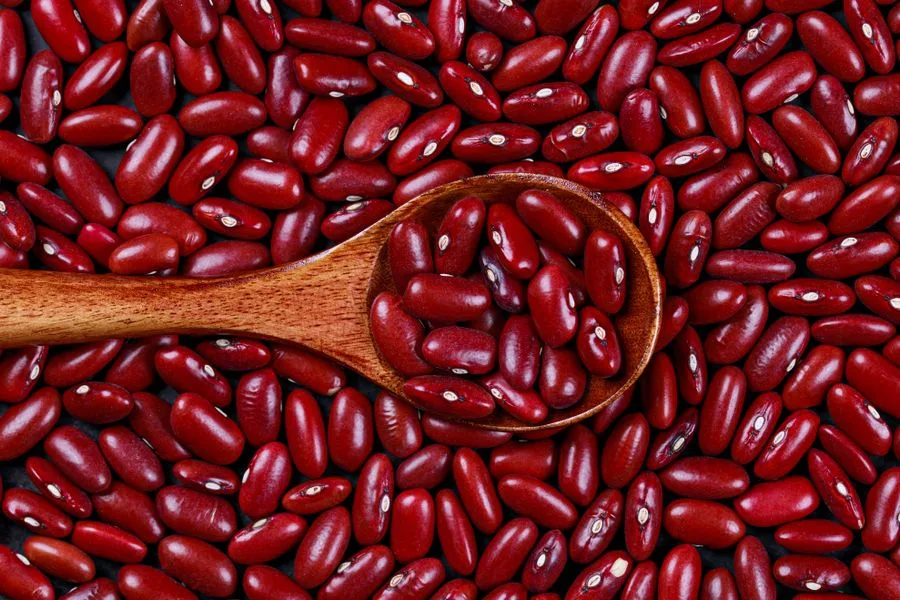 Southern Pinto Beans