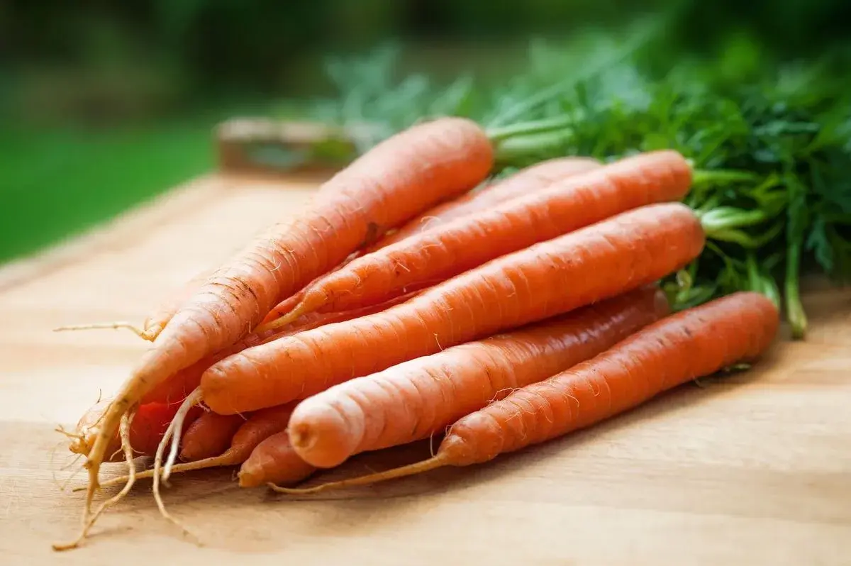 Roasted Carrots dish plated