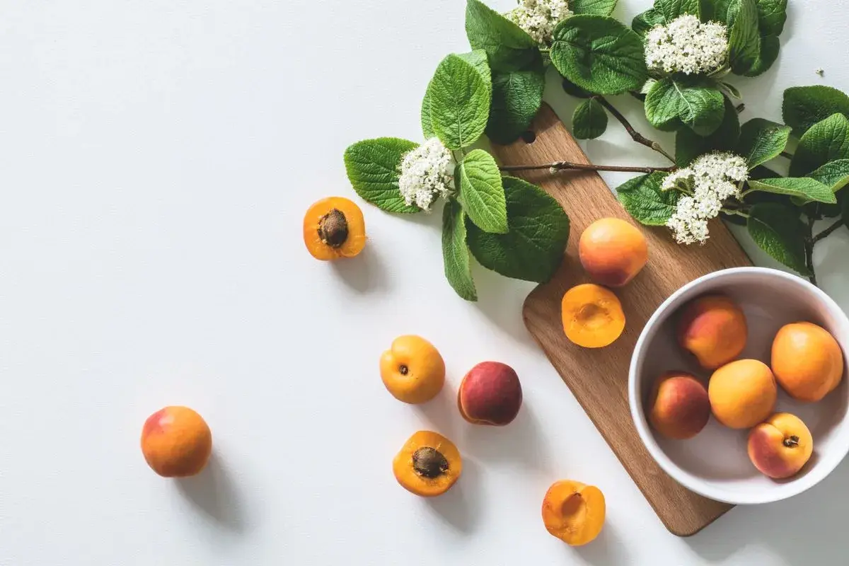 Cranberry Sauce Recipe dish plated