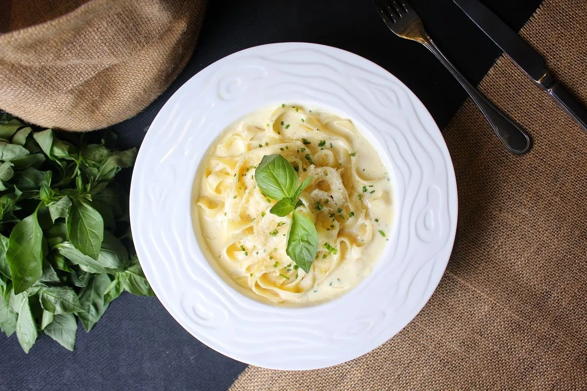 Quick Alfredo Sauce dish plated