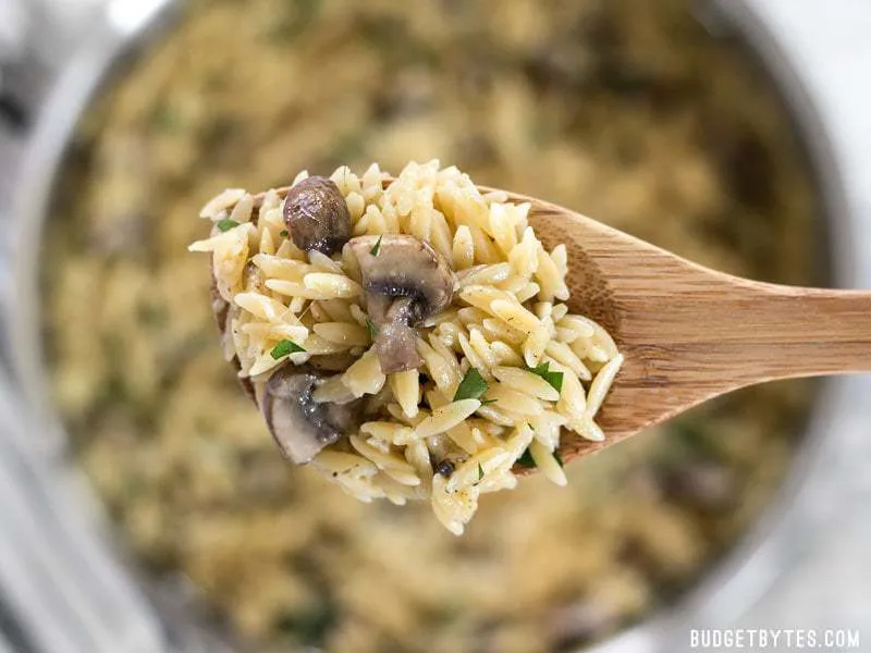 Parmesan Portobello Orzo