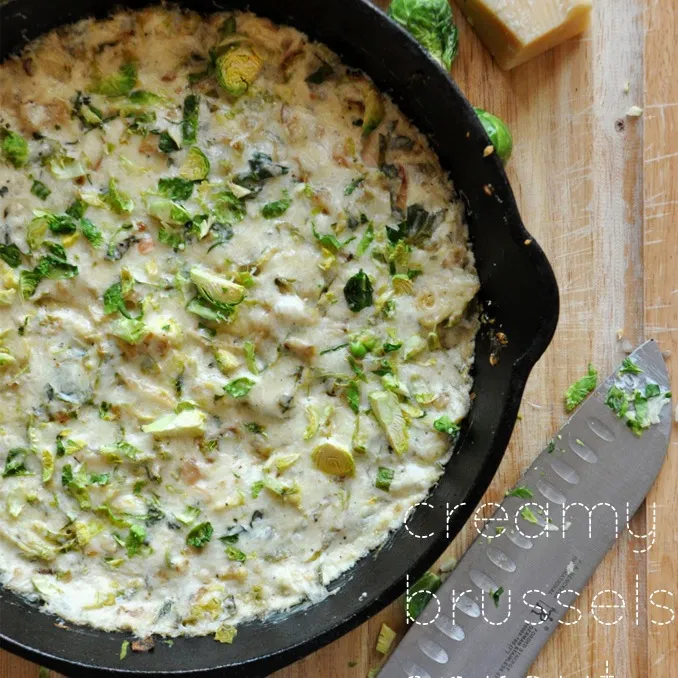 Creamy Brussels Sprout & Shallot Dip