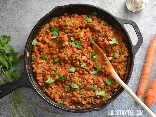 Curried Lentils