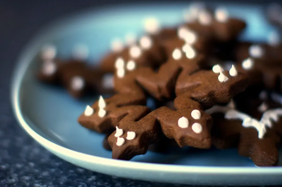 spicy gingerbread cookies