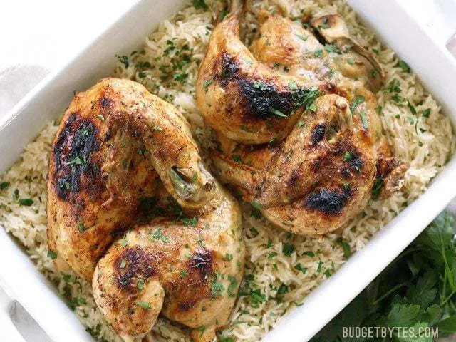 Pressure Cooker Chicken and Rice