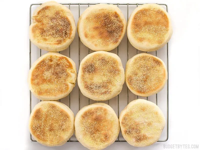 Homemade English Muffins Recipe