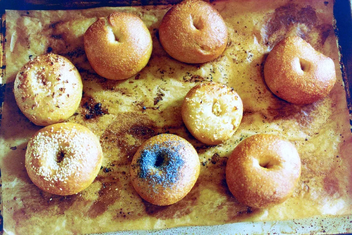 peter reinhart’s bagels