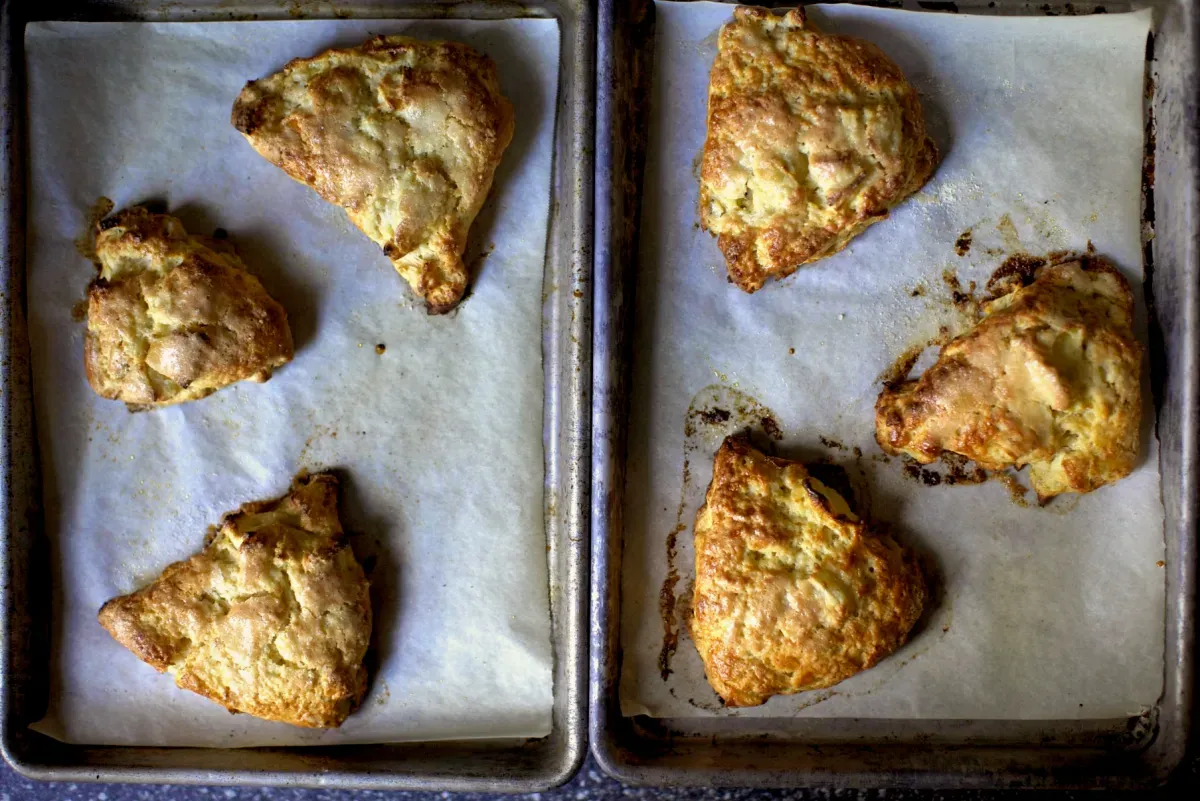 apple and cheddar scones