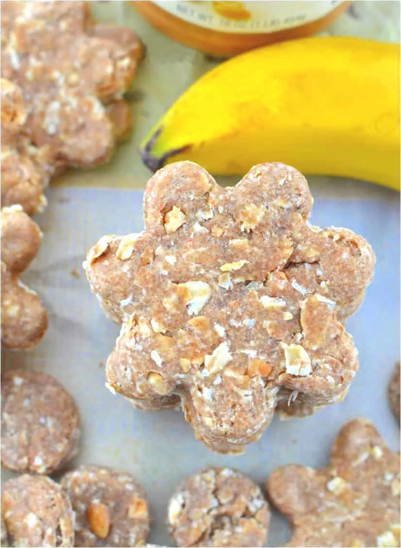 Peanut Butter Oatmeal Banana Dog Treats