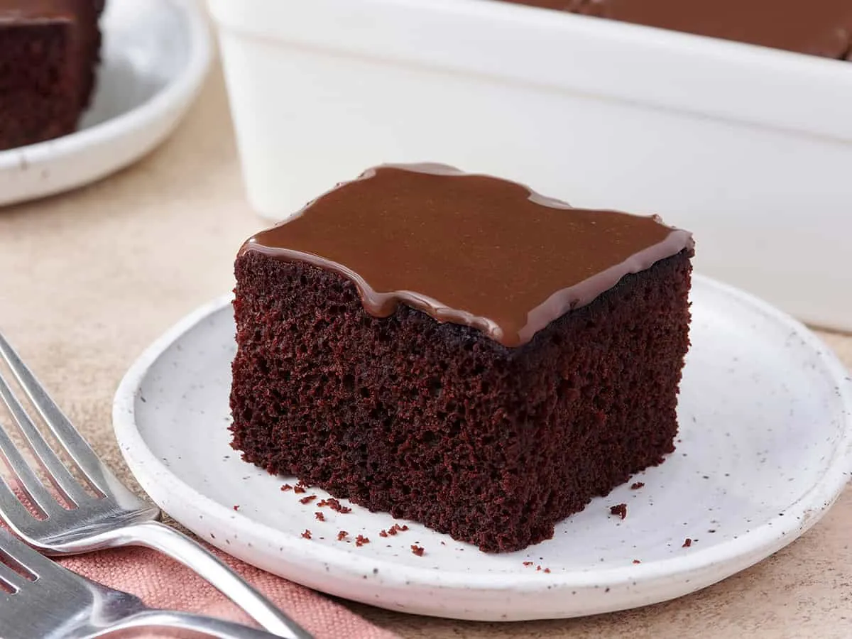 Chocolate Depression Cake (No Eggs, Butter, or Milk)