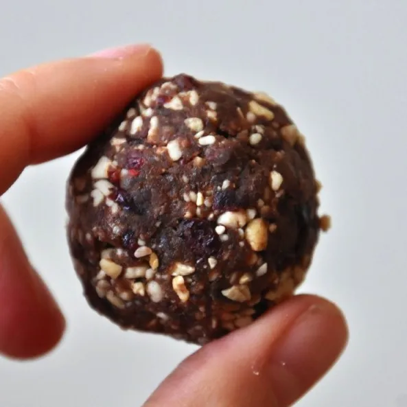 Chocolate Cashew Cookie Larabar Pops