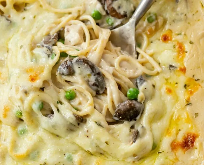 Chicken Tetrazzini