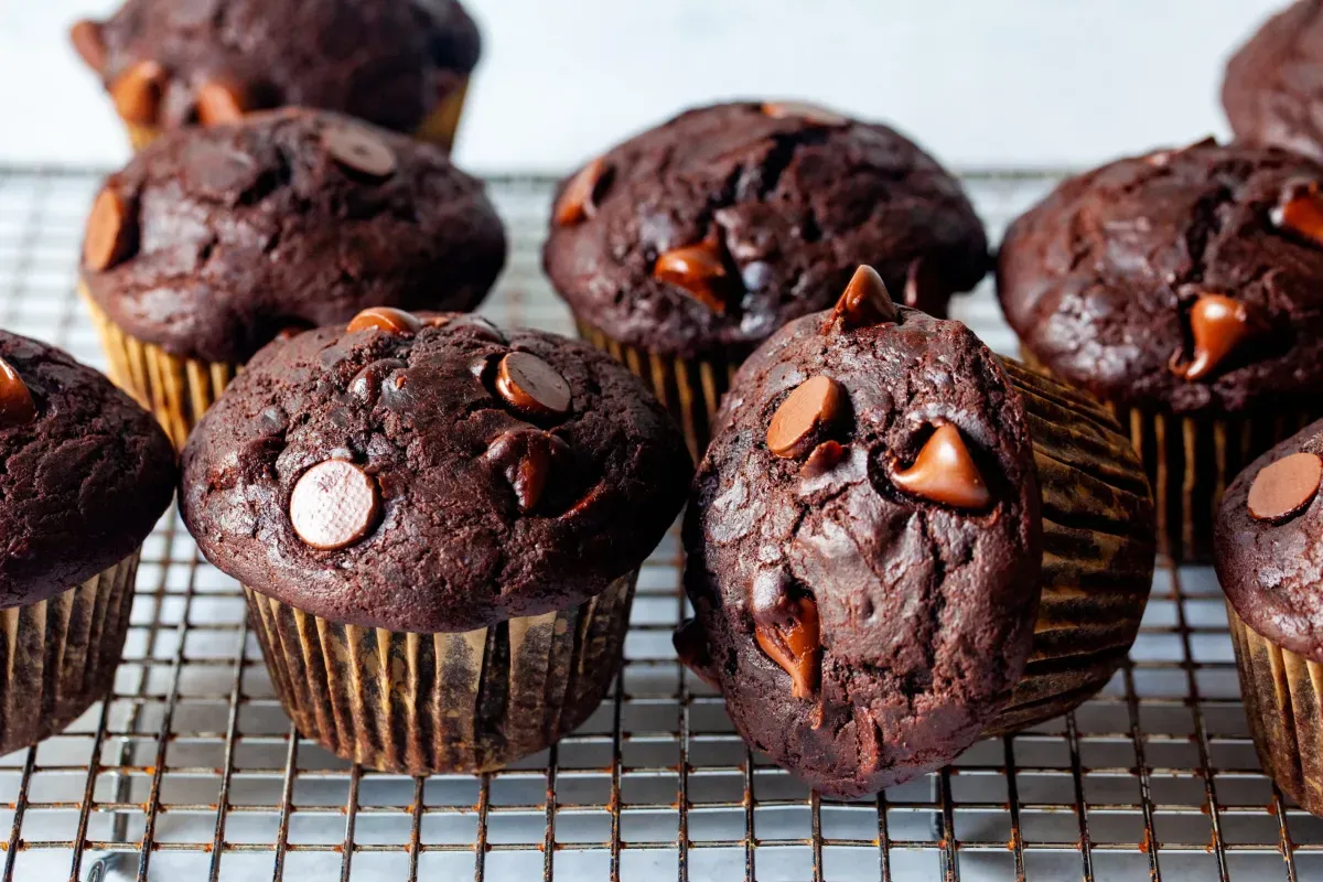 double chocolate chip muffins