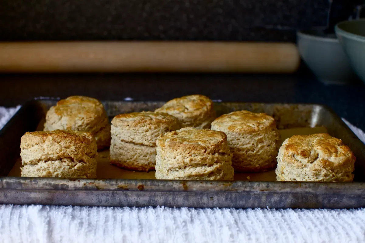 oat and maple syrup scones